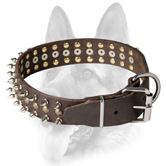 Securely riveted Dog collar