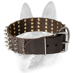 Securely riveted Dog collar