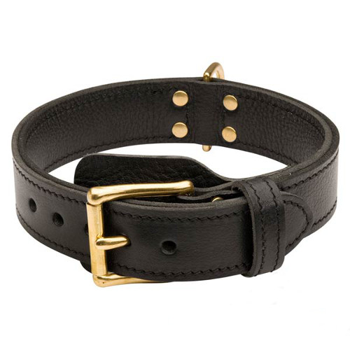 Brilliant design leather dog collar