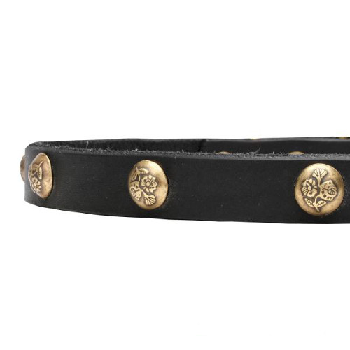 Leather dog collar with manually riveted studs
