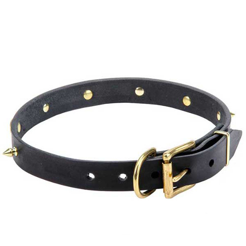 Premium leather collar with easy adjustable buckle
