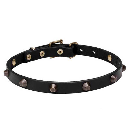 Genuine leather dog collar with brass cones