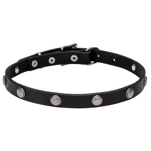 Dog collar with chrome-plated flowered studs