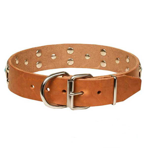 Marvelous tan natural leather dog collar with chrome plated adornment