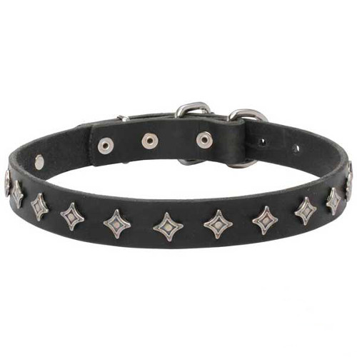 Collar decorated with nickel plated stars