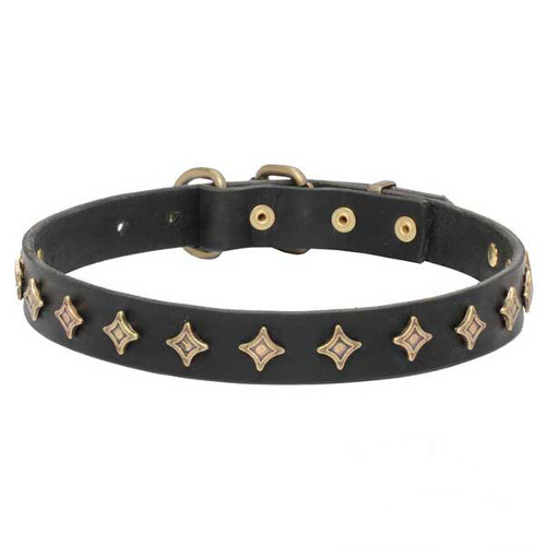 Collar adorned with brass covered stars