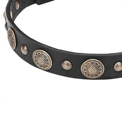 Dog collar with reliably set round studs
