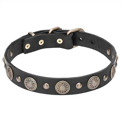 Genuine leather dog collar with rust-resistant studs