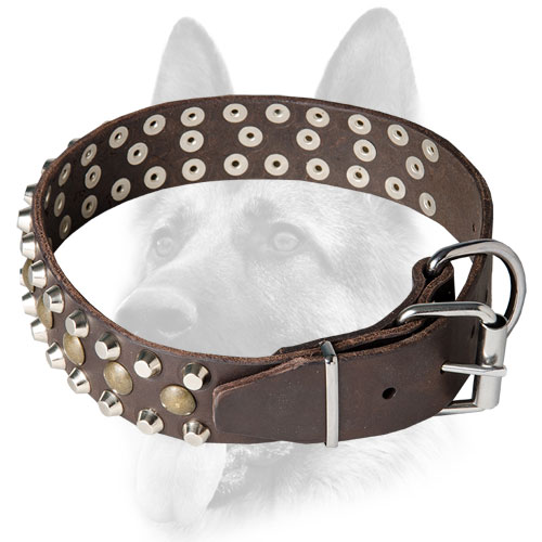 Elegant wide leather dog collar