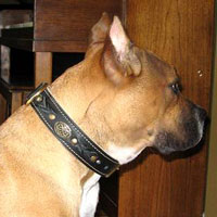 Schutzhund Hand Made Leather dog collar