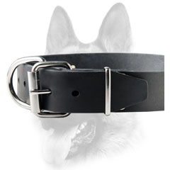 Reliable leather dog with durable hardware