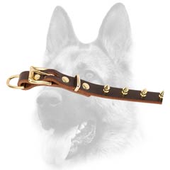 Everyday leather dog collar of good width