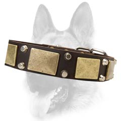Multitasking leather dog collar
