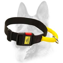 First-class nylon dog collar
