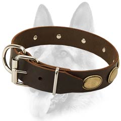 Adjustable leather dog collar for courageous tasks  dogs