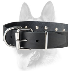Unique leather dog collar for training/walking