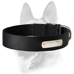 Heavy-duty nylon dog collar