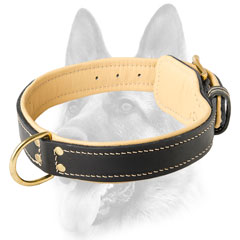 Handworked leather dog collar for working dogs