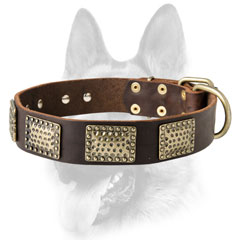 High quality leather dog collar for tasks dogs