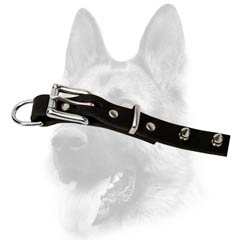 Classy leather dog collar for Schutzhund dog breed