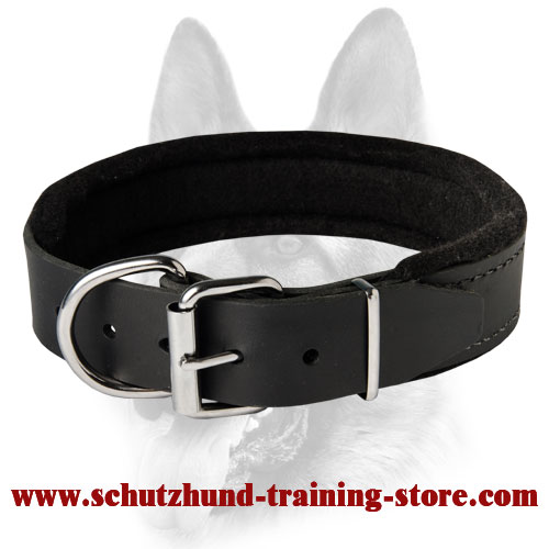 The Best Pet Training Supplies: Strong Schutzhund Padded ...
