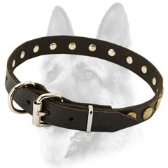 Extra ordinary leather dog collar