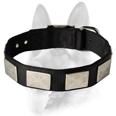 Customized dog collar