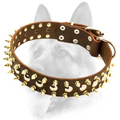 High quality leather dog collar