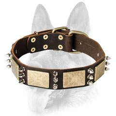 Stylish dog collar