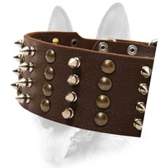 Sophisticated leather dog collar for strong dogs