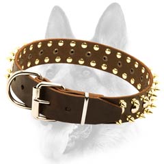 Spiked & studded leather dog collar
