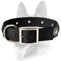 Customized dog collar for working dog breeds