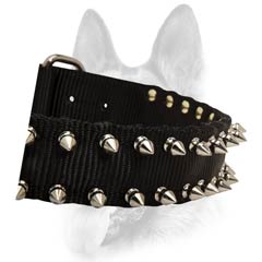 Decorated nylon dog collar