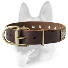 Leather dog collar with durable buckle