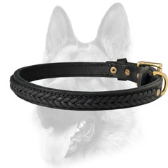 Decorated dog collar for tracker dogs