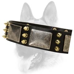 Adjustable leather dog collar