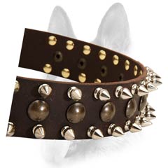 Wonderful leather dog collar with spikes