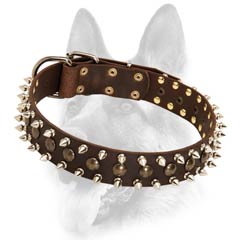 Best decorated leather dog collar