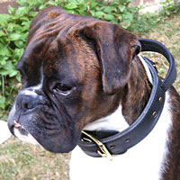 Wire Basket dog muzzle