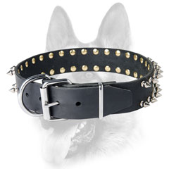Leather dog collar with buckle and D-ring