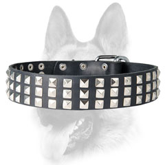 Leather black dog collar with rows of pyramids
