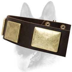 Ornamented leather dog collar for different goals