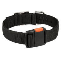 nylon dog collar