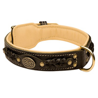 Hand Made Leather dog collar