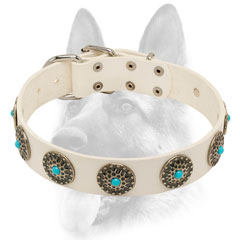 Elegant white leather dog collar for training of a working dog