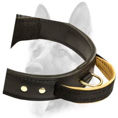 Wonderful training leather dog collar