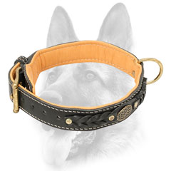 New dog collar leather with brass plated fittings