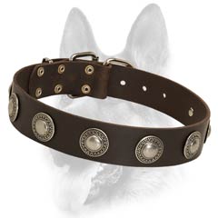 Amazing leather dog collar