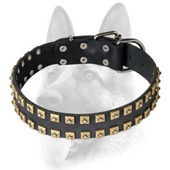 Handcrafted dog collar studded