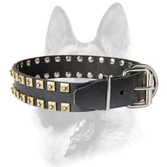 Training leather dog collar with corrosion resistant fittings